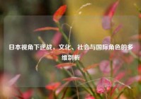 日本视角下逆战，文化、社会与国际角色的多维剖析