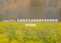 pubgm BAN，在绝地求生战场迷雾中筑起的电竞信仰堡垒