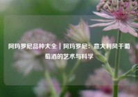 阿玛罗尼品种大全｜阿玛罗尼：意大利风干葡萄酒的艺术与科学