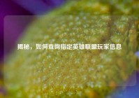 揭秘，如何查询指定英雄联盟玩家信息