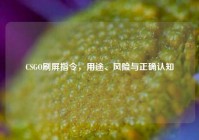 CSGO刷屏指令，用途、风险与正确认知