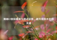揭秘CF鼠标瞄准与速点设置，提升竞技水平的关键