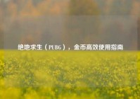 绝地求生（PUBG），金币高效使用指南