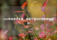 CSGO专业选手头像，电竞个性与文化的独特标识