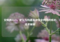 交换机VLAN，定义与构建高效安全网络的核心技术解析