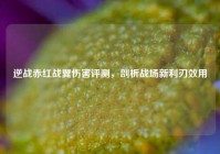 逆战赤红战翼伤害评测，剖析战场新利刃效用