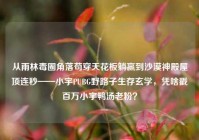 从雨林毒圈角落苟穿天花板躺赢到沙漠神殿屋顶连秒——小宇PUBG野路子生存玄学，凭啥戳百万小宇鸭汤老粉？