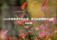 CSGO中建模技术的应用、潜力及建模师培训机构探寻