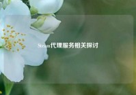 Steam代理服务相关探讨