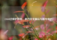 CSGO过保护教程，助力安全畅玩与账号保护