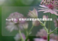 Steam平台，经典对战策略游戏的虚拟战场
