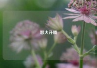 怒火升腾