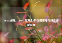 PUBG战场，1200小时黄金1的突围坚守与段位进阶探寻