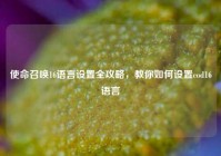 使命召唤16语言设置全攻略，教你如何设置cod16语言
