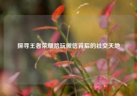 探寻王者荣耀陪玩微信背后的社交天地