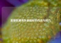 英雄联盟亮队徽图标的方法与技巧