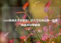 CSGO休闲名字别瞎取！这几个方向让你一进休闲局就自带眼缘