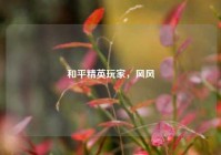 和平精英玩家，风风