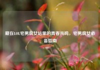 藏在LOL宅男腐女站里的青春共鸣，宅男腐女必备指南