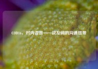 COD16，对内语音——战友间的沟通纽带