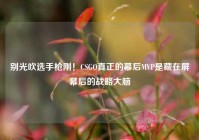 别光吹选手枪刚！CSGO真正的幕后MVP是藏在屏幕后的战略大脑