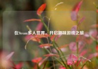 在Steam多人世界，开启趣味游戏之旅