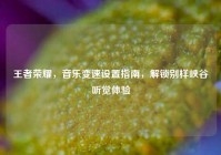 王者荣耀，音乐变速设置指南，解锁别样峡谷听觉体验