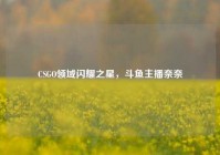 CSGO领域闪耀之星，斗鱼主播奈奈