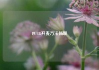 PUBG开麦方法畅聊