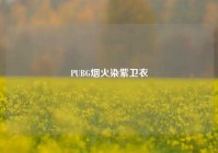PUBG烟火染紫卫衣
