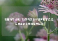 世界和平论坛：如何有效参与世界和平论坛：从准备到实施的完整指南
