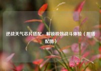 逆战天气芯片搭配，解锁极致战斗体验（附搭配图）