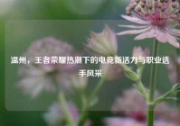温州，王者荣耀热潮下的电竞新活力与职业选手风采