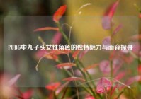 PUBG中丸子头女性角色的独特魅力与面容探寻
