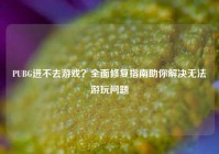 PUBG进不去游戏？全面修复指南助你解决无法游玩问题