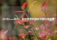 PSV与Steam及PS4，游戏世界的奇妙关联与新探索