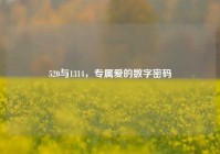 520与1314，专属爱的数字密码