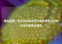 潮流品牌，在文化共鸣中定义当代青年生活表达及衣服排名解析