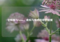 字母圈与Steam，虚拟与情感的奇妙碰撞