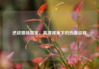 逆战猎场图鉴，高清视角下的热血征程