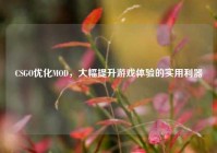 CSGO优化MOD，大幅提升游戏体验的实用利器