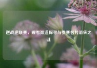 逆战逆联赛，观看渠道探寻与参赛名片消失之谜