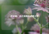 逆战曦，未达预期的遗憾之作