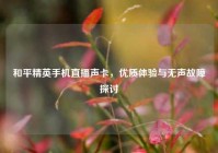 和平精英手机直播声卡，优质体验与无声故障探讨
