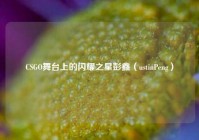 CSGO舞台上的闪耀之星彭鑫（ustinPeng）
