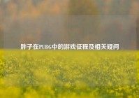 胖子在PUBG中的游戏征程及相关疑问