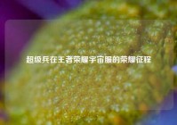 超级兵在王者荣耀宇宙服的荣耀征程