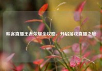 映客直播王者荣耀全攻略，开启游戏直播之旅