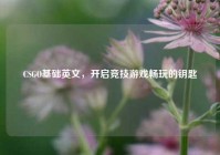 CSGO基础英文，开启竞技游戏畅玩的钥匙
