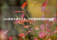 CSGO自定义指令大全，开启游戏新玩法的钥匙